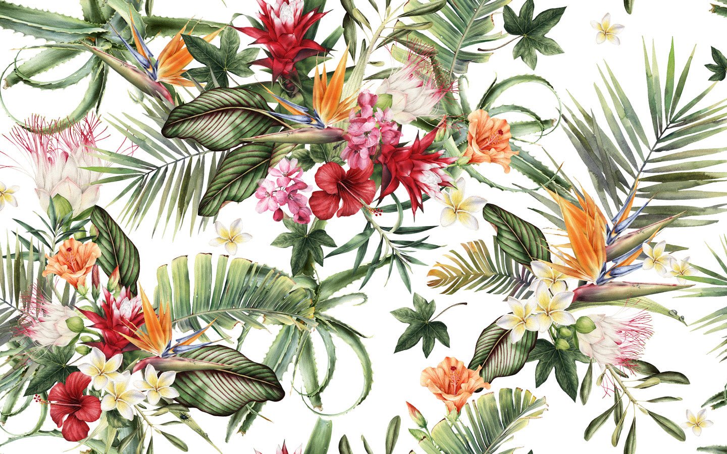 Papier peint salle de bain tropical & Fleurs colorées, mural concept, tendance